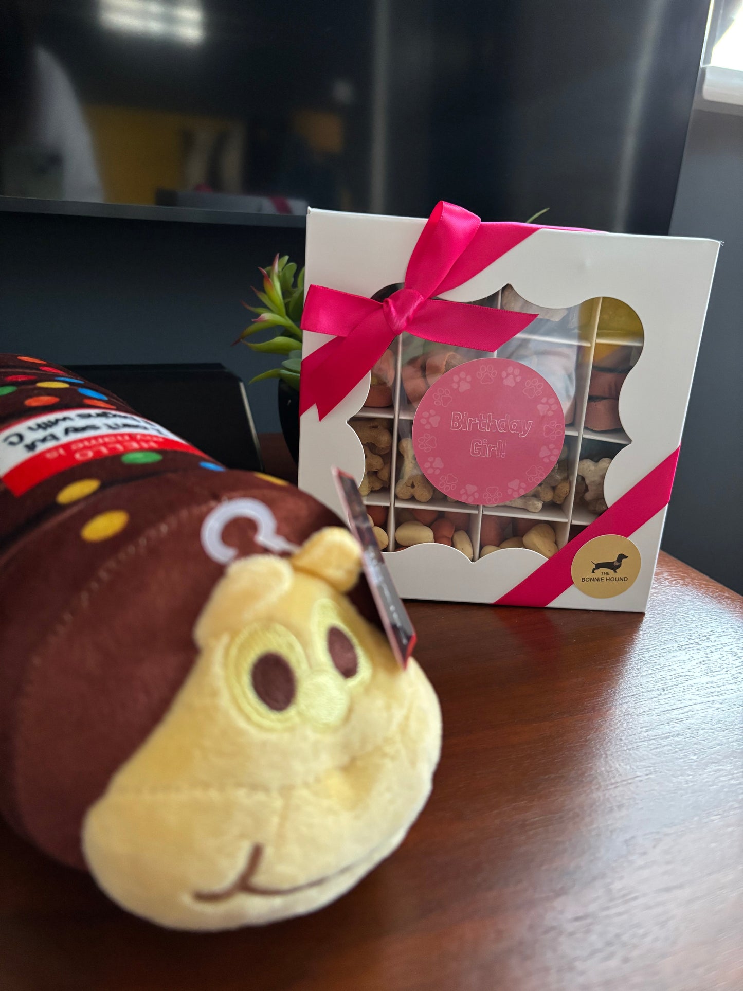“C…” Caterpillar Cake - Dog Toy