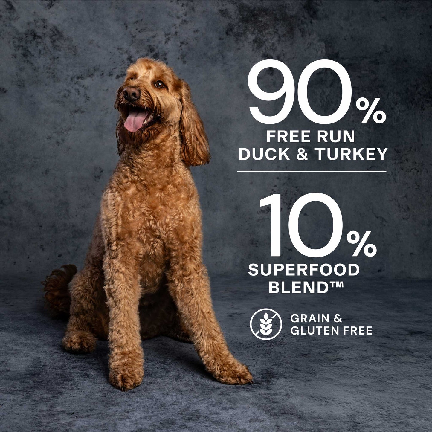 AATU - Duck & Turkey Wet Dog Food