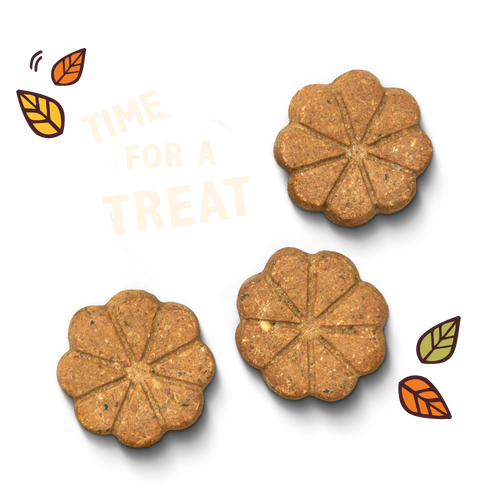 Lily's Kitchen - Breaktime Biscuits