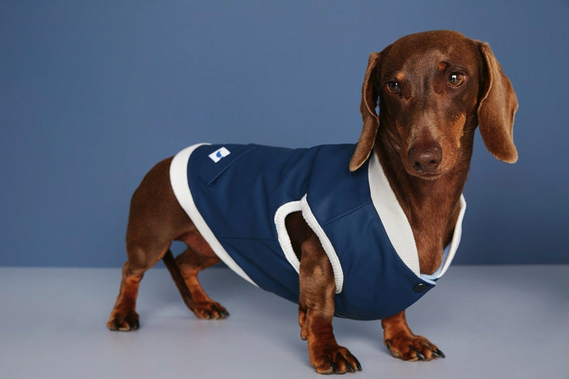 "Francis" Reversible Bomber Jacket