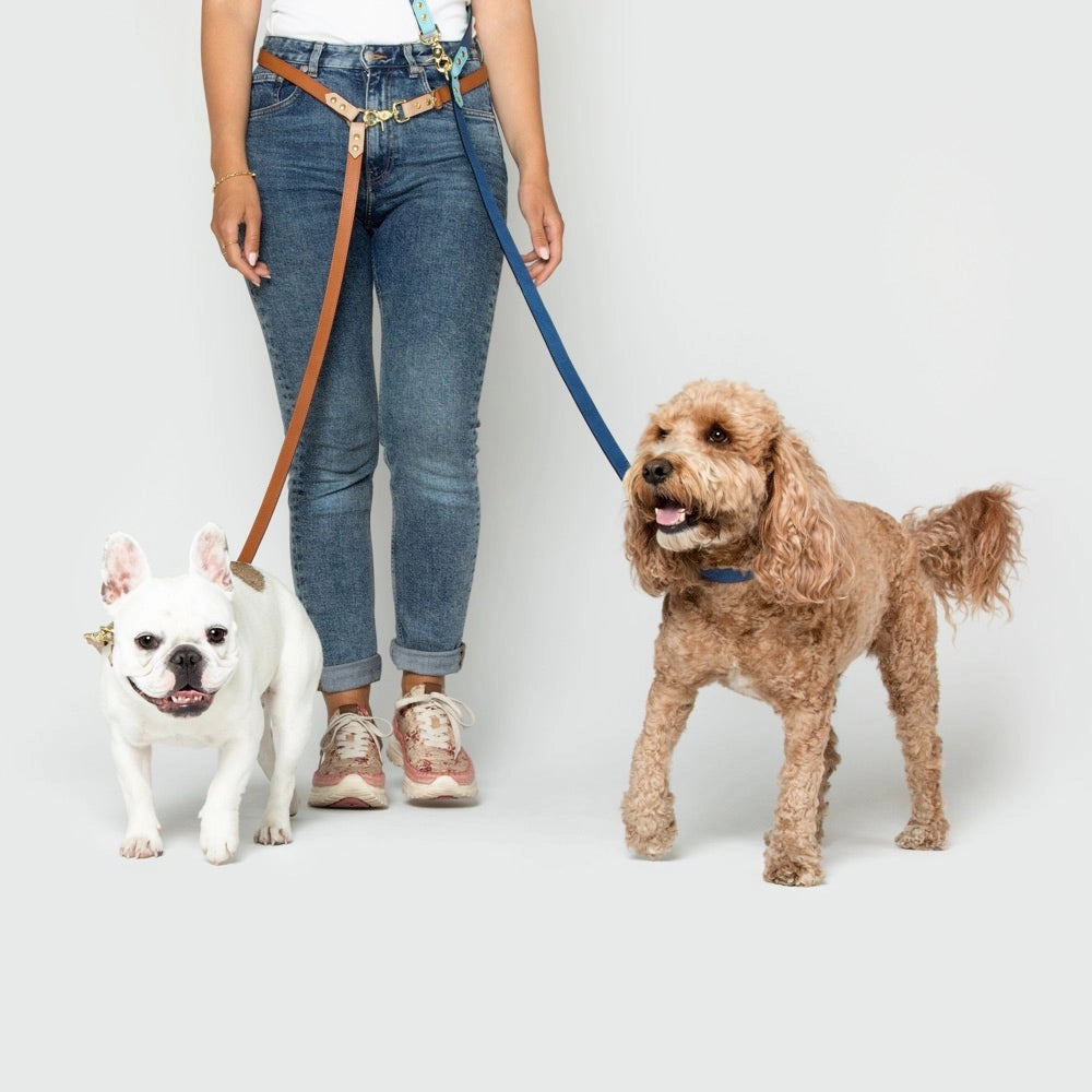 Timeless Hands-Free Dog Lead – Handmade Leather