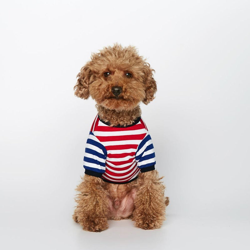 مخطط تي شيرت