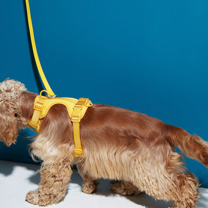 تسخير الورد