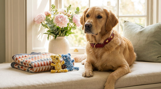 The Dog Mum Gift Guide: Best Luxury Dog Gifts for Mother's Day 2026