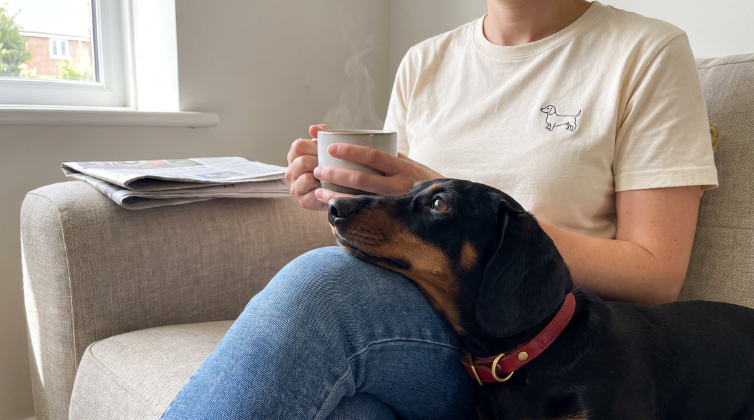 Dog Mum & Dog Dad Gifts UK (2026): T-Shirts People Actually Wear