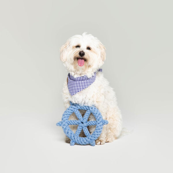 Captain's Wheel cotton rope dog toy — one of the best dog enrichment toys in the UK for 2026