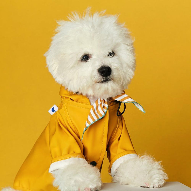 Eco-Friendly Sarah Raincoat made from recycled ocean plastic — a sustainable Duke & Milo dog product