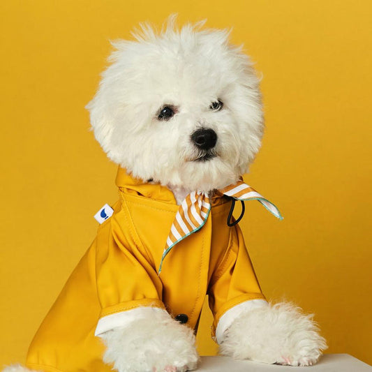 Eco-Friendly Sarah Raincoat made from recycled ocean plastic — a sustainable Duke & Milo dog product