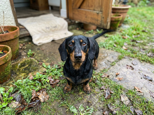 The Day That Smells Different