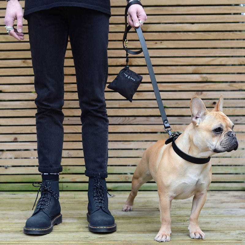 Matte black full-grain leather dog lead, Notte Edition, coiled on a stone doorstep