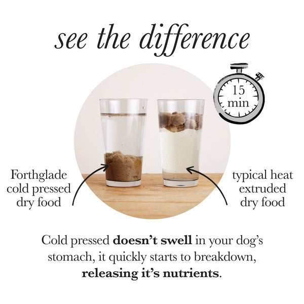 Forthglade - Alimento seco para perros prensado en frío y pavo sin cereales