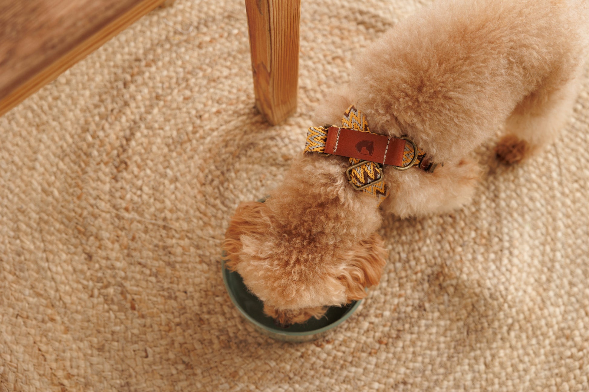 Buddy's Peruvian-inspired handmade dog harness with naturally-tanned leather trim | Duke & Milo