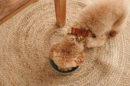 Buddy's Peruvian-inspired handmade dog harness with naturally-tanned leather trim | Duke & Milo