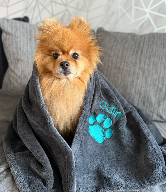 Small Personalised Pet Blankets - Embroidered