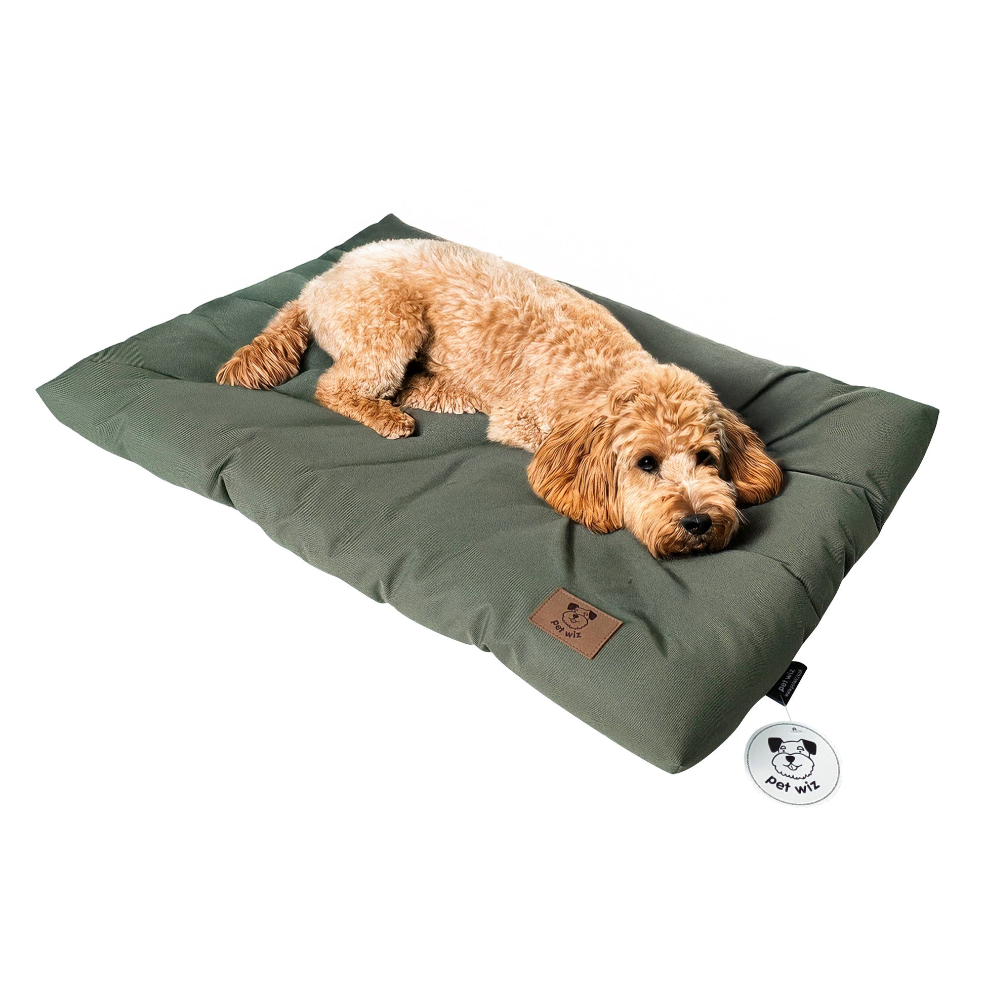 Dog lying on the olive waterproof dog crate bed, side view