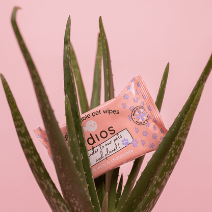 Adios Plastic - 🌱 Compostable Pet Wipes 🐶🐾