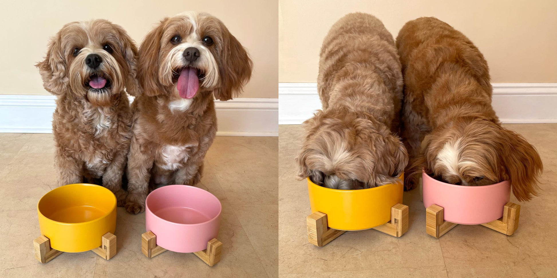 Ceramic dog bowl in a bamboo stand, part of the Pet Wiz feeding range at Duke & Milo