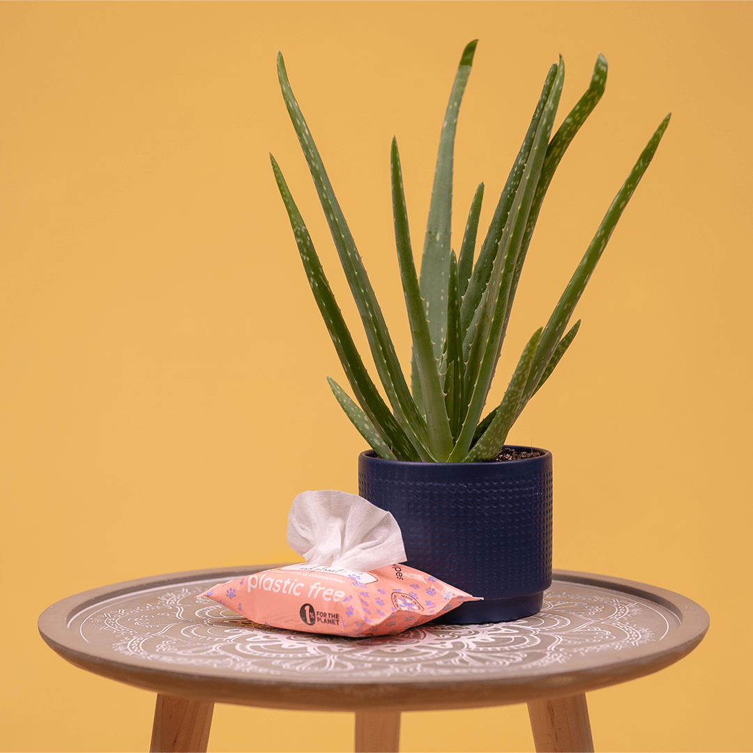 Adios Plastic - 🌱 Compostable Pet Wipes 🐶🐾