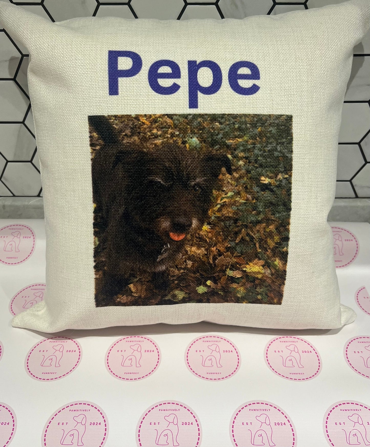 Personalised Pet Cushions