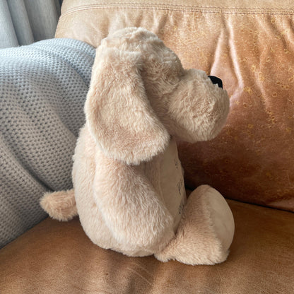 Soft plush comfort teddy for a child after losing a pet