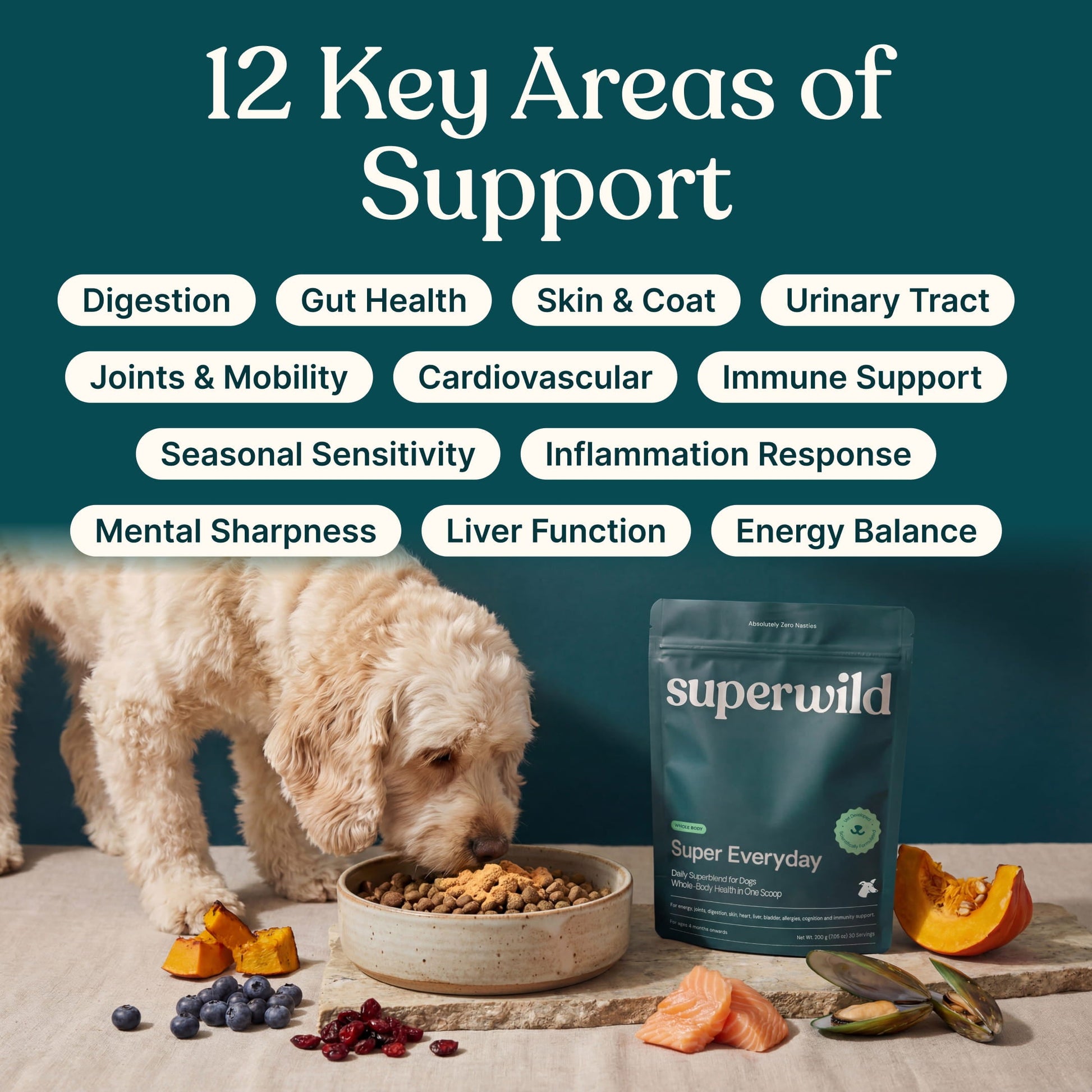 Superwild Super Everyday pouch beside a dog eating from a ceramic bowl, with a graphic listing 12 areas of support