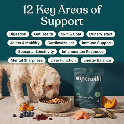 Superwild Super Everyday pouch beside a dog eating from a ceramic bowl, with a graphic listing 12 areas of support