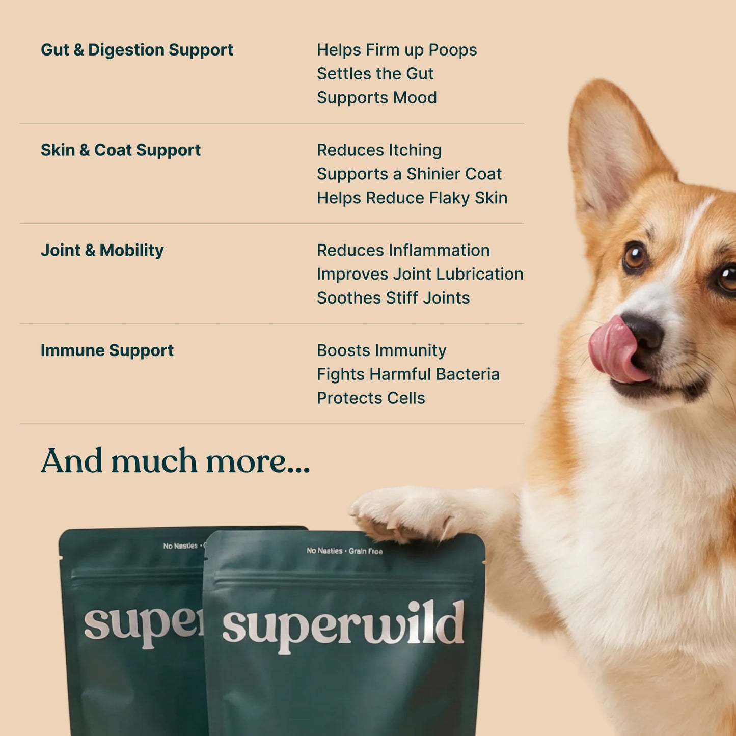 Superwild Super Everyday benefits chart covering gut and digestion, skin and coat, joint and mobility and immune support, with a Corgi beside two pouches