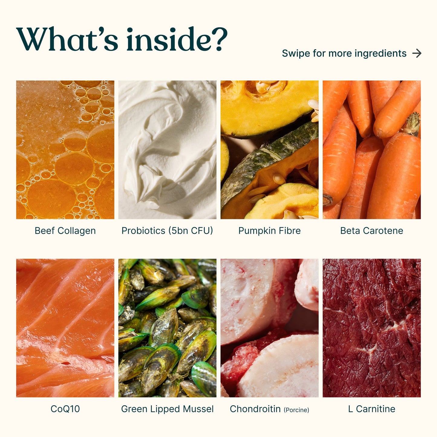 Ingredient graphic for Superwild Super Everyday showing beef collagen, probiotics, pumpkin fibre, beta carotene, CoQ10, green lipped mussel, chondroitin and L-carnitine