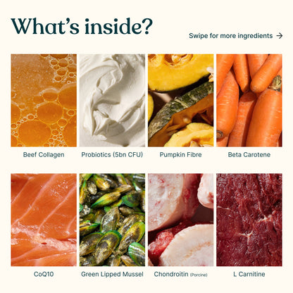 Ingredient graphic for Superwild Super Everyday showing beef collagen, probiotics, pumpkin fibre, beta carotene, CoQ10, green lipped mussel, chondroitin and L-carnitine