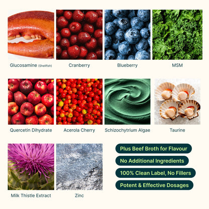 Second ingredient graphic for Superwild Super Everyday showing glucosamine from shellfish, cranberry, blueberry, MSM, quercetin, acerola cherry, schizochytrium algae, taurine, milk thistle and zinc