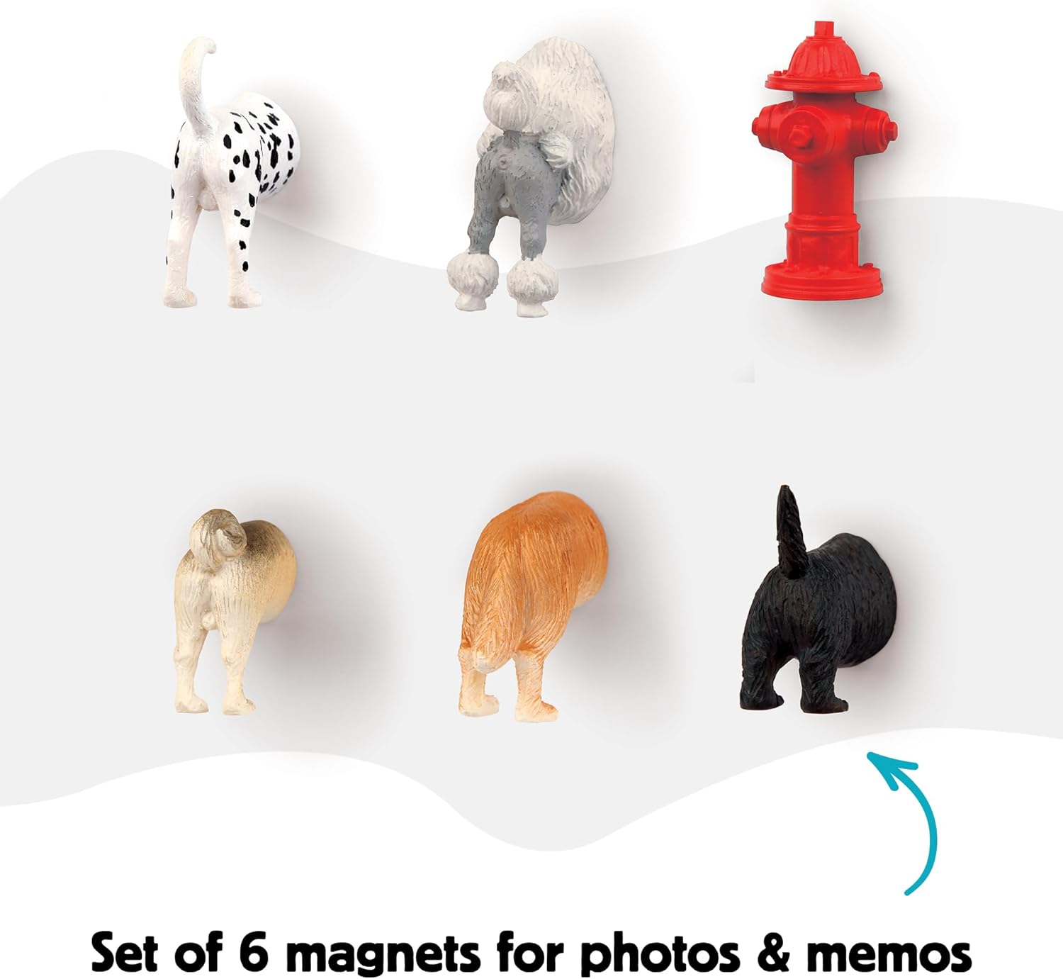 Kikkerland Doggy Derriere magnet set on a fridge door | Duke & Milo
