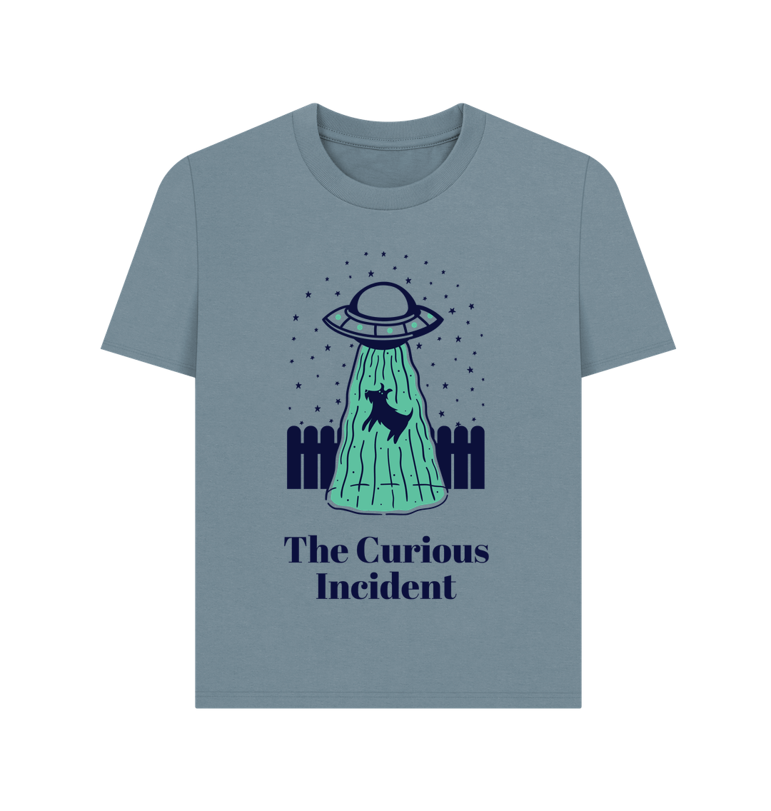 Stone Blue The Curious Incident Tee