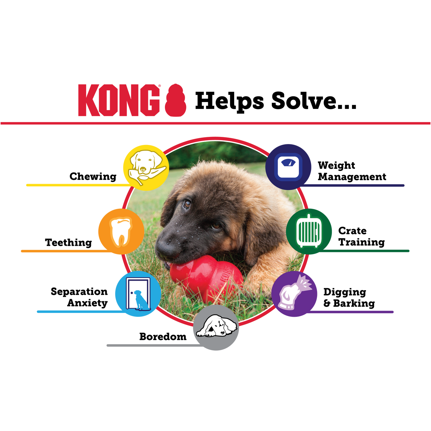 KONG Classic Dog Toy