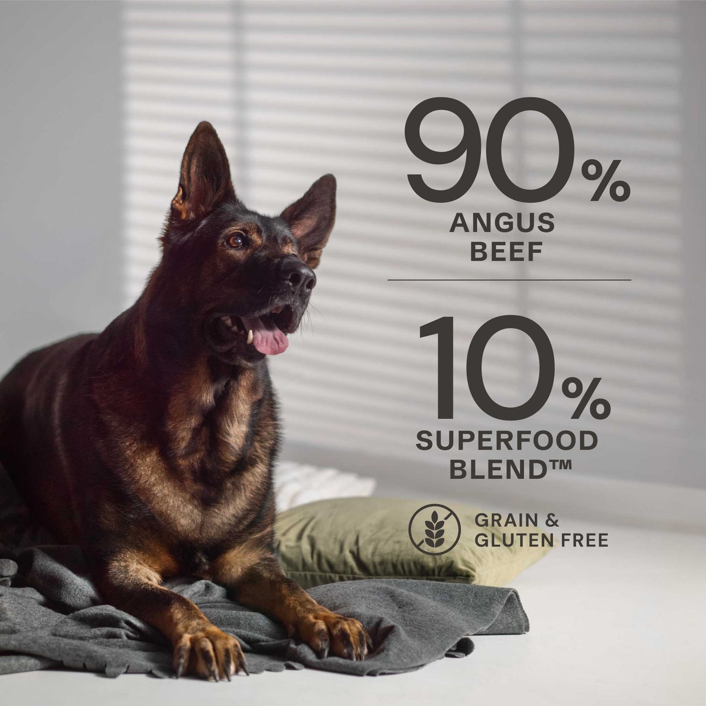 AATU - Angus Beef Wet Dog Food