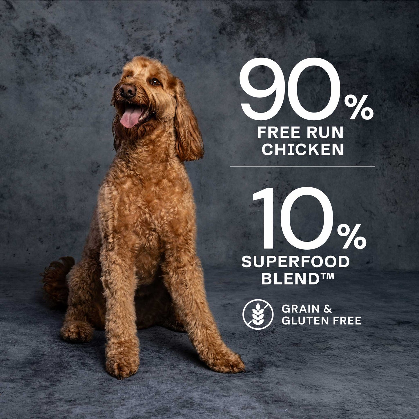 AATU - Chicken Wet Dog Food