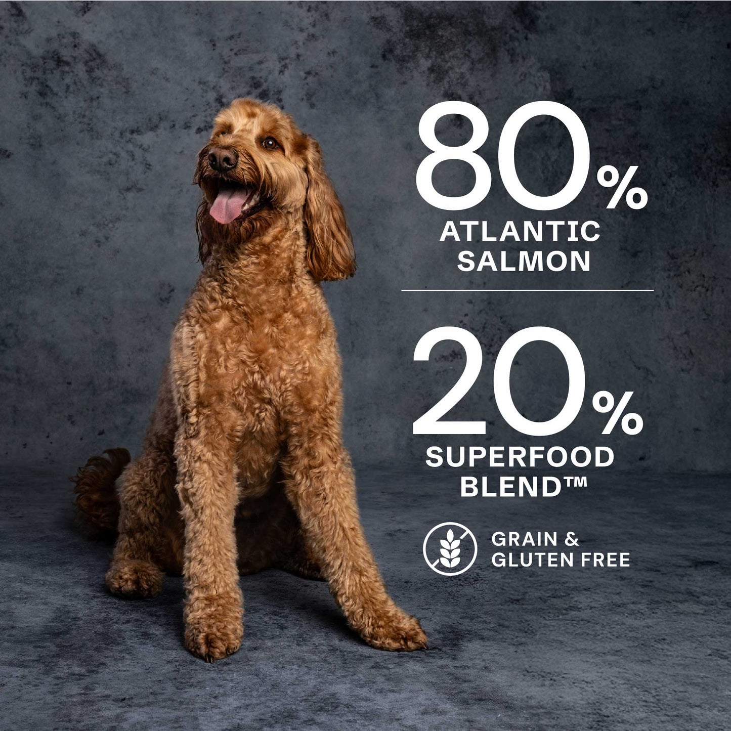 AATU - Salmon Dry Dog Food