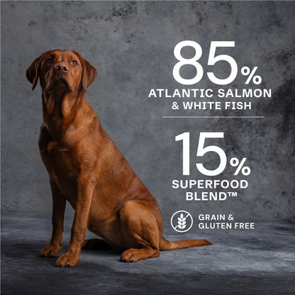 AATU - Salmon Dry Food for Puppies