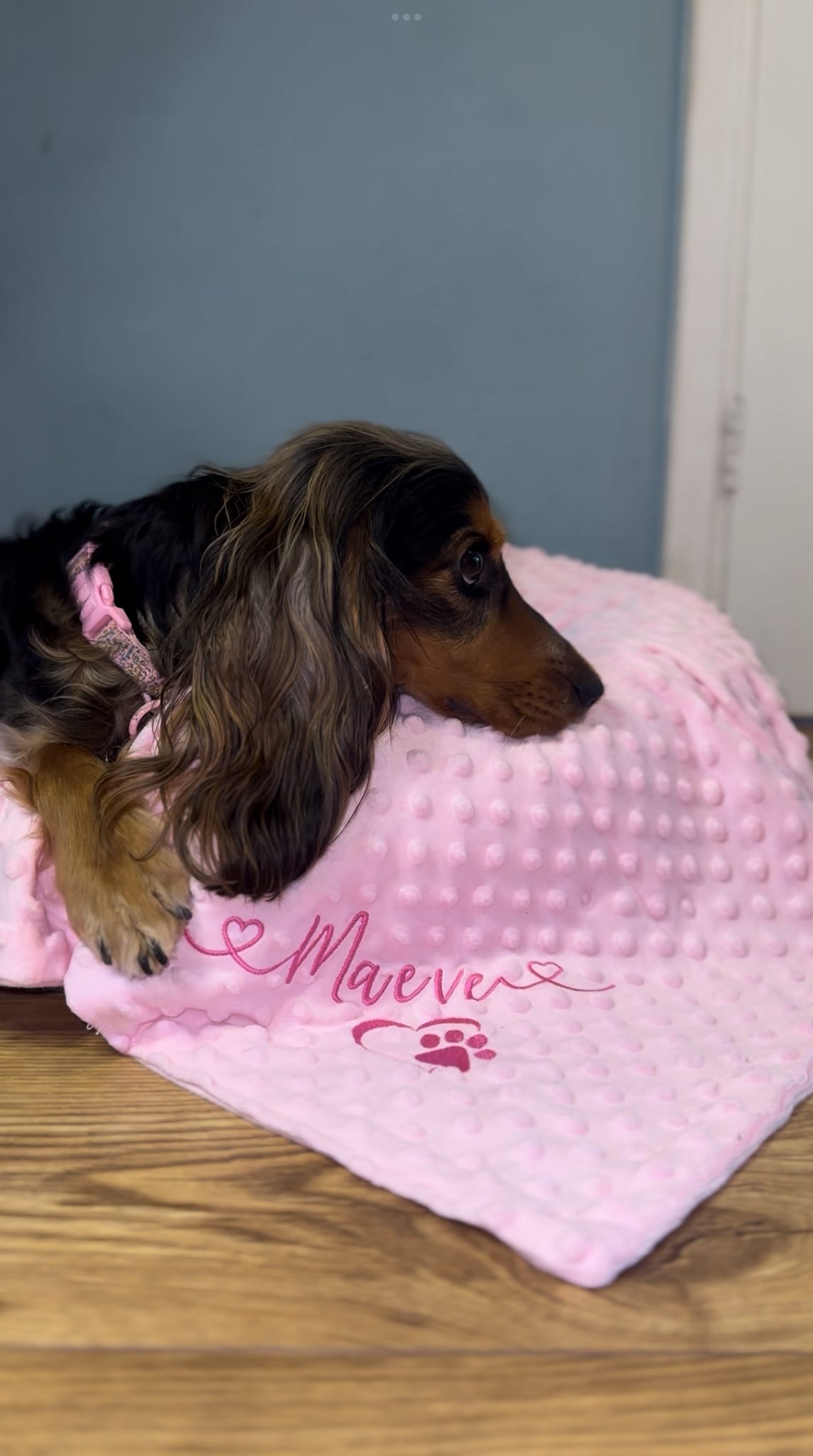 Large Personalised Pet Blankets - Embroidered