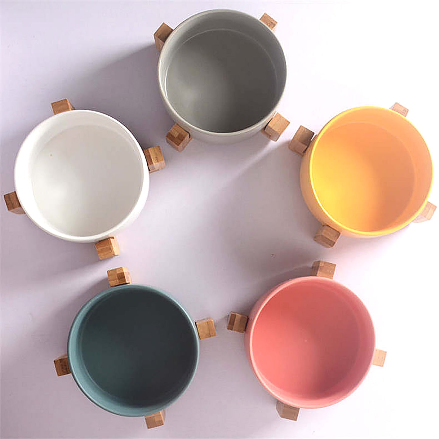 Five colours of the raised ceramic dog bowl with bamboo stand, from Duke & Milo