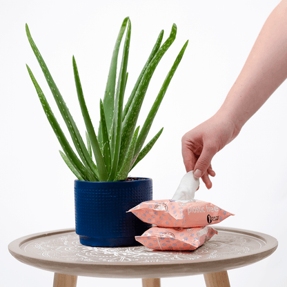 Adios Plastic - 🌱 Compostable Pet Wipes 🐶🐾