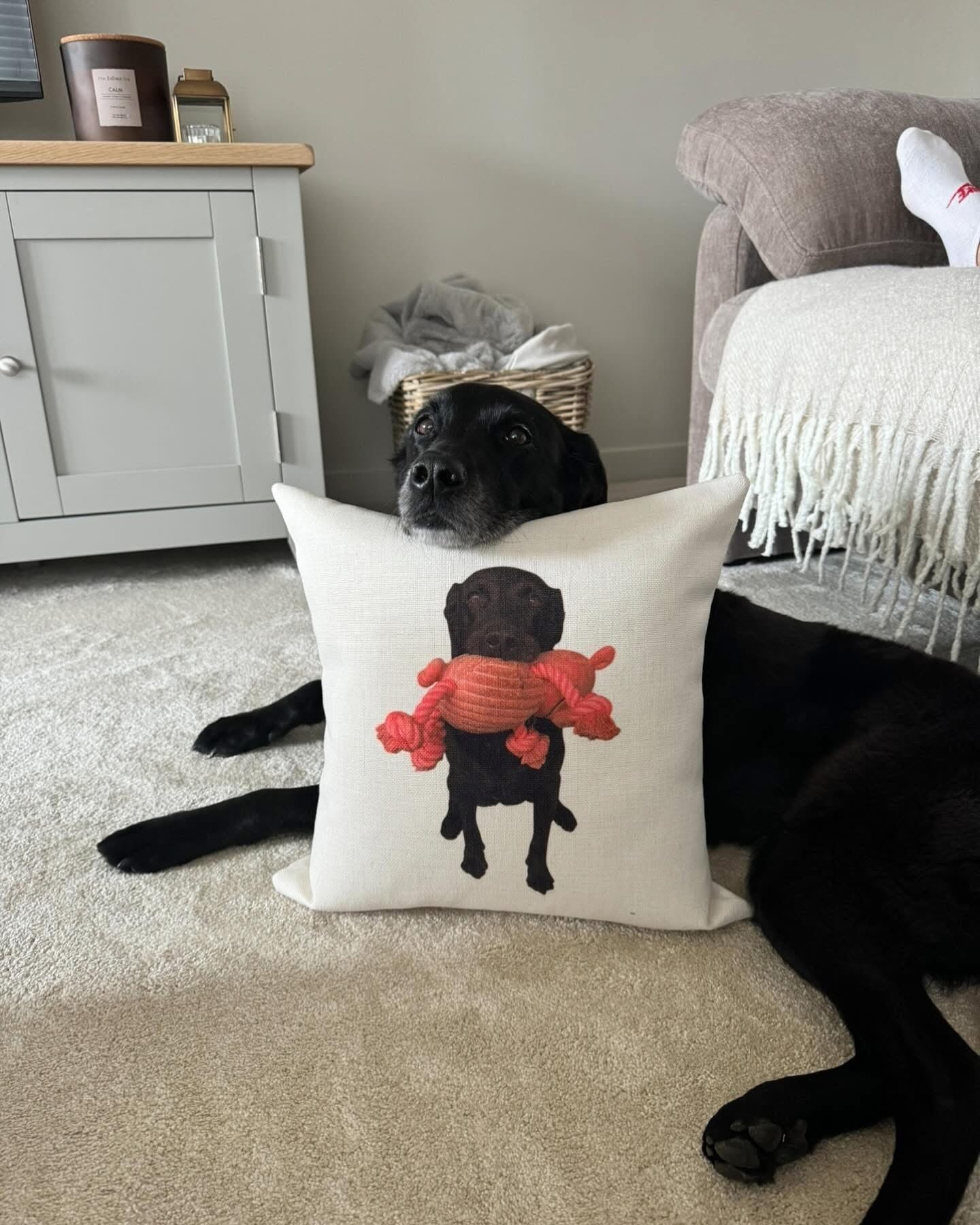 Personalised Pet Cushions