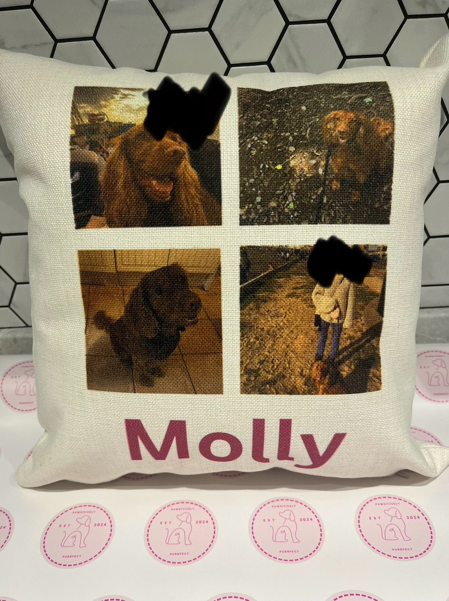 Personalised Pet Cushions