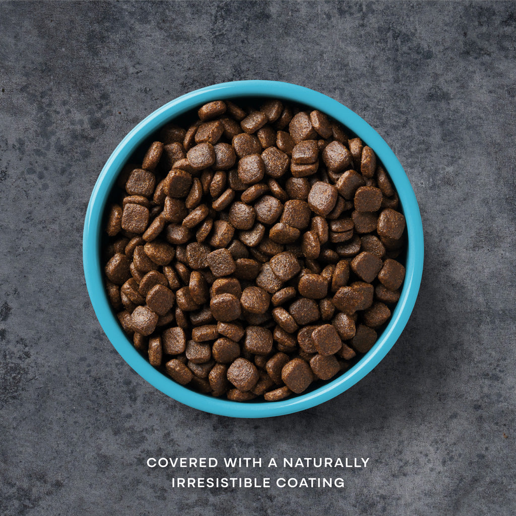 AATU - Salmon Dry Dog Food