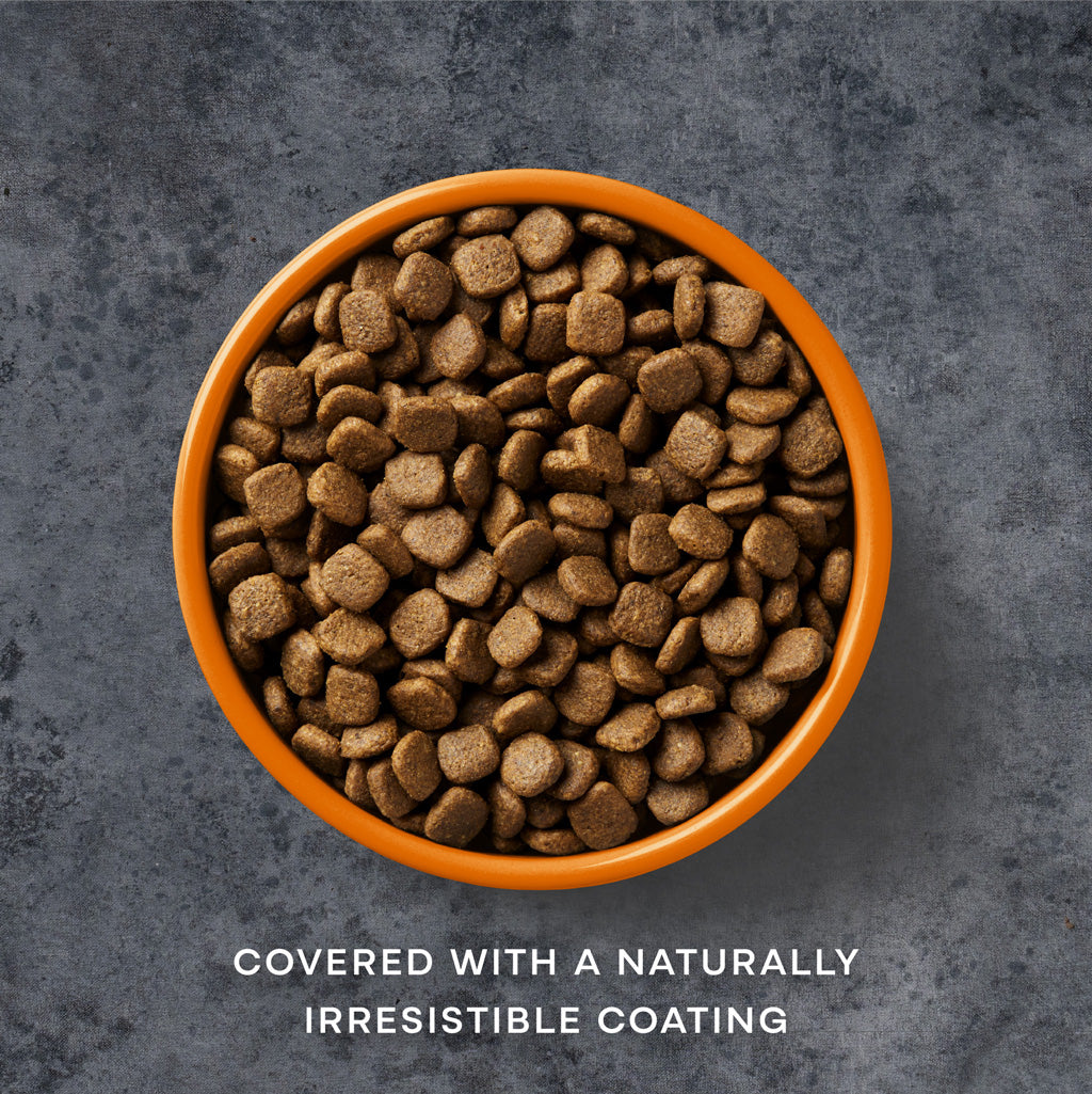 AATU - Free Run Chicken Dry Dog Food