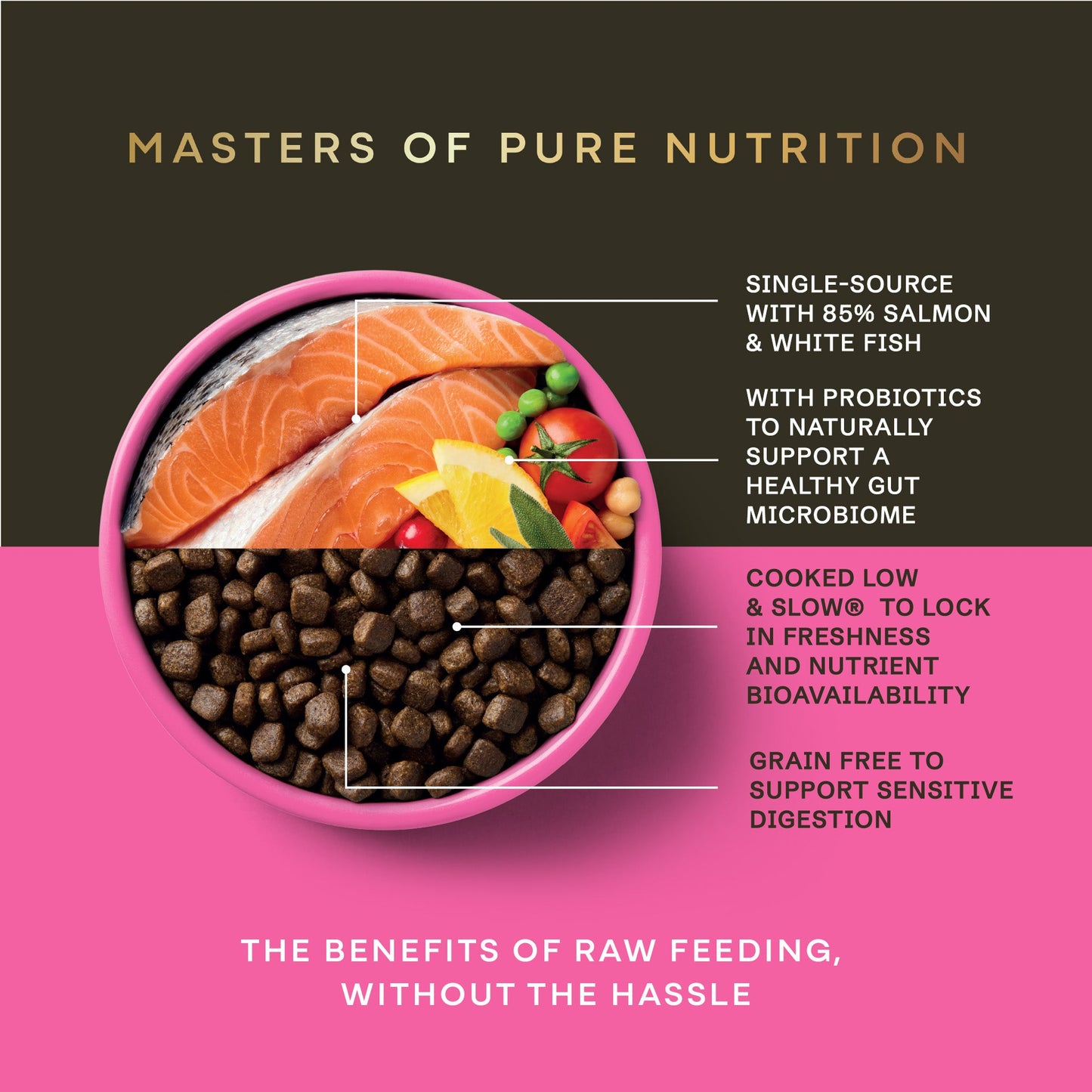 AATU - Salmon Dry Food for Puppies