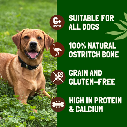 Jumbo Ostrich Bones for Dogs