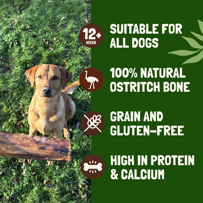 Metatarsus Ostrich Bones For Dogs