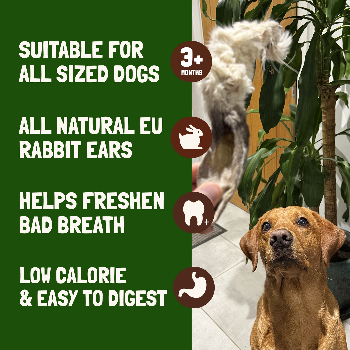 Rabbit Ears With Fur For Dogs - 500g (30-35 Ears)