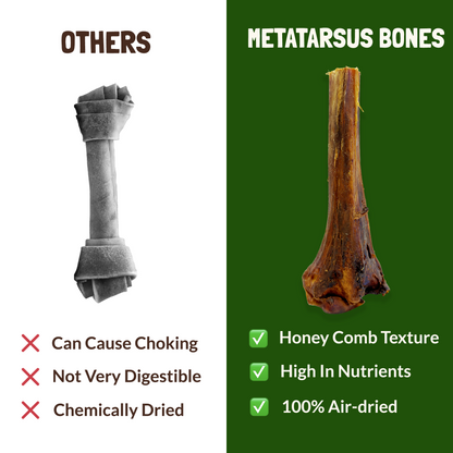 Metatarsus Ostrich Bones For Dogs