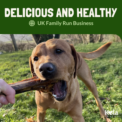 Metatarsus Ostrich Bones For Dogs